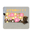 むーたんりーたん（個別スタンプ：16）