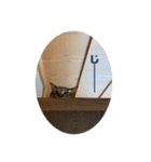 むーたんりーたん（個別スタンプ：17）