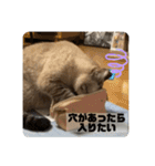 むーたんりーたん（個別スタンプ：18）