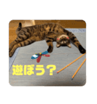 むーたんりーたん（個別スタンプ：19）