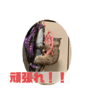 むーたんりーたん（個別スタンプ：21）