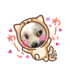 らんまるちゃん。②（個別スタンプ：2）