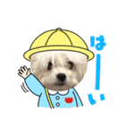 らんまるちゃん。②（個別スタンプ：4）