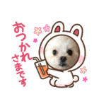 らんまるちゃん。②（個別スタンプ：6）