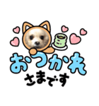 らんまるちゃん。②（個別スタンプ：11）