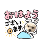 らんまるちゃん。②（個別スタンプ：16）