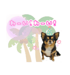 ほのぼのクーピーのアロハ日常偏（個別スタンプ：3）