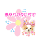 ほのぼのクーピーのアロハ日常偏（個別スタンプ：4）