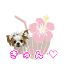 ほのぼのクーピーのアロハ日常偏（個別スタンプ：8）