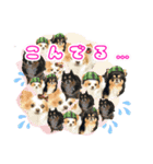 ほのぼのクーピーのアロハ日常偏（個別スタンプ：10）