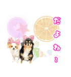 ほのぼのクーピーのアロハ日常偏（個別スタンプ：11）