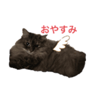 サイベリアンのキキちゃん（個別スタンプ：4）