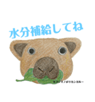 nanda zoo cookies 涼（個別スタンプ：4）