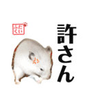 おもち系ハムスター だいふく（個別スタンプ：7）