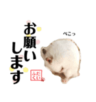 おもち系ハムスター だいふく（個別スタンプ：9）