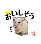 おもち系ハムスター だいふく（個別スタンプ：21）