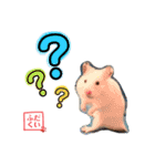 おもち系ハムスター だいふく（個別スタンプ：24）