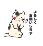 【敬語】もちもちほっぺのねこ4（個別スタンプ：35）