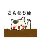 【敬語】もちもちほっぺのねこ4（個別スタンプ：38）