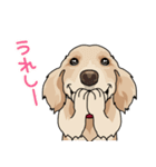 golden retriever@SURFBORDER（個別スタンプ：2）