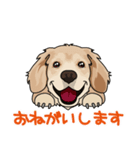 golden retriever@SURFBORDER（個別スタンプ：10）