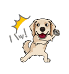 golden retriever@SURFBORDER（個別スタンプ：22）