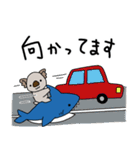 コアラとサメの不思議な仲間たち（個別スタンプ：15）