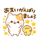 飛び出す♡ねこねこにゃんこ（個別スタンプ：7）