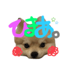 ぼく。うにたろう。Part2（個別スタンプ：4）