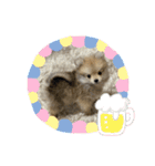ぼく。うにたろう。Part2（個別スタンプ：15）