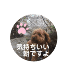 トムの日常その2（個別スタンプ：1）