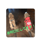 トムの日常その2（個別スタンプ：2）
