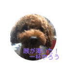 トムの日常その2（個別スタンプ：3）