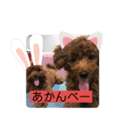 トムの日常その2（個別スタンプ：4）