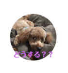 トムの日常その2（個別スタンプ：5）