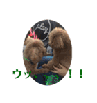 トムの日常その2（個別スタンプ：9）