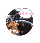 トムの日常その2（個別スタンプ：11）