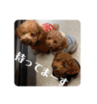 トムの日常その2（個別スタンプ：12）