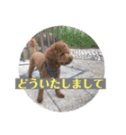 トムの日常その2（個別スタンプ：15）