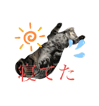 らいむすたんぷ2（個別スタンプ：1）