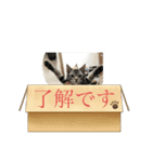 らいむすたんぷ2（個別スタンプ：6）
