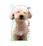 プー ＊asachi（個別スタンプ：2）