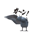 ハトジャンプ公式スタンプ Vol.1（個別スタンプ：7）