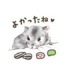 パムパム ハムスター（個別スタンプ：13）