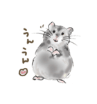 パムパム ハムスター（個別スタンプ：16）
