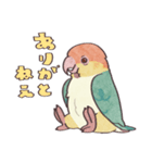 ゆかいなシロハラインコ（個別スタンプ：2）