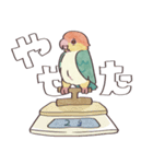 ゆかいなシロハラインコ（個別スタンプ：21）