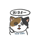 ハッチーとその仲間たち（個別スタンプ：1）