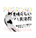 ファニーなニャンズ 2021 卒業にゃんこ1（個別スタンプ：6）