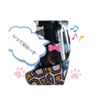 トイプードル一家（個別スタンプ：8）